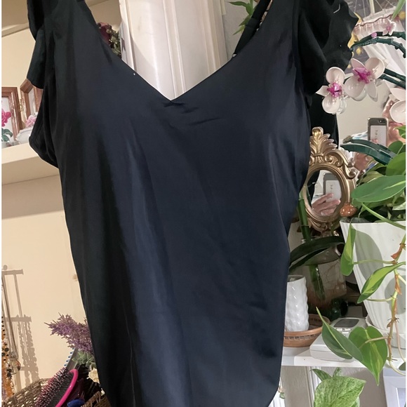 Time and Tru Other - swim suit size 2X